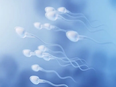 Регулярная эякуляция полезна